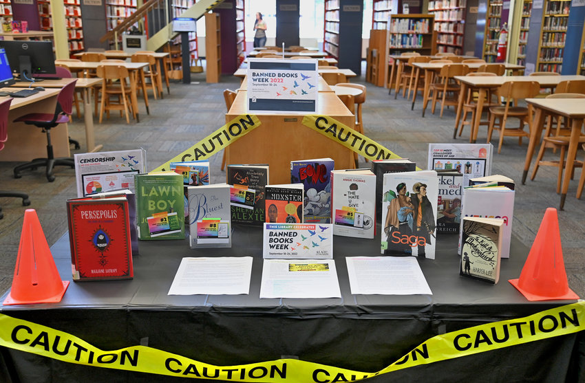 The banned books on display Friday at Jervis Public Library in Rome.
