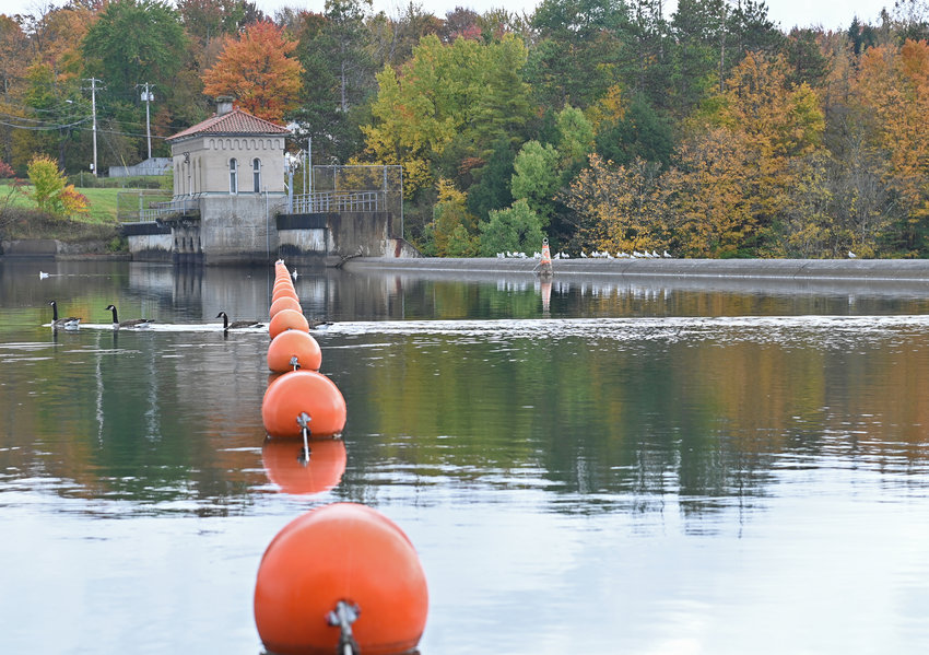 Some Canada geese swim amid the buoys at the Delta Dam off of Route 46 in Rome on Monday, Oct. 10. Recent rainfall and rising groundwater levels have led state officials to lift a drought watch in much of the region, however, officials are still urging residents to reduce unnecessary water waste.