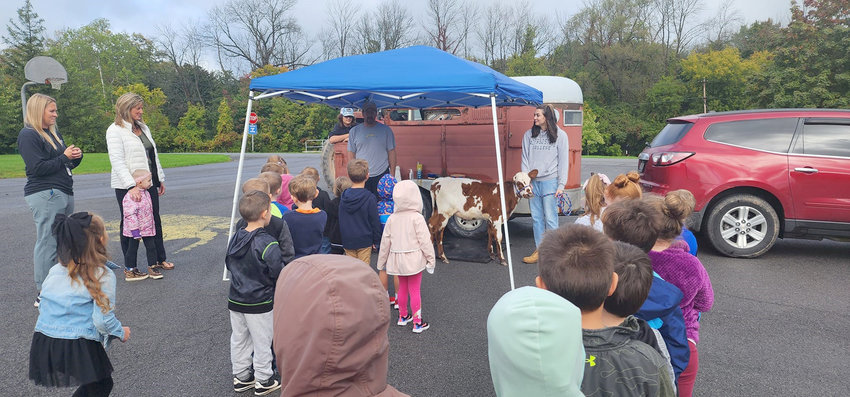 McAllister Elementary School students gather around Steve Adams at their Sherrill school recently to meet a calf and learn more about dairy farming.