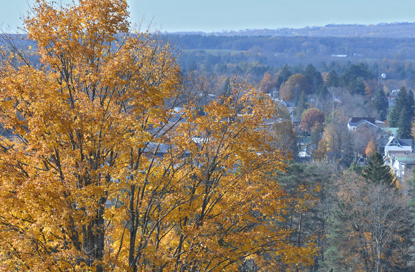 HANGING ON &mdash;&nbsp;With sunny skies and unseasonably warm temperatures, several areas are seeing bright, colorful leaves hanging onto trees in the region, including this one as viewed from the Boonville Cemetery with downtown Boonville in the distance. Although the region is well past its peak when it comes to fall foliage, pockets of color remain in region.