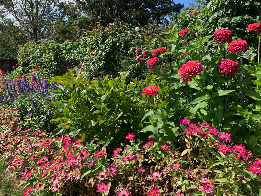A mixed garden border blooming in Old Westbury. Companion planting is grouping specific plants together based on the benefits they provide for each other. Those benefits can include attracting pollinators, deterring pests or serving as a living trellis.