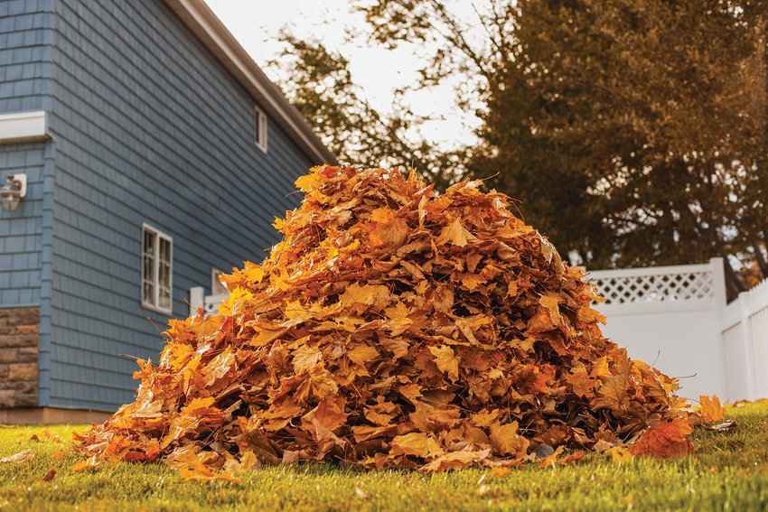 The city of Utica will be entering the final week of green waste pickup for the year. Starting Monday, Nov. 14 and going until Friday, Nov. 18, various sections of the city will have their final day of green waste pickup.