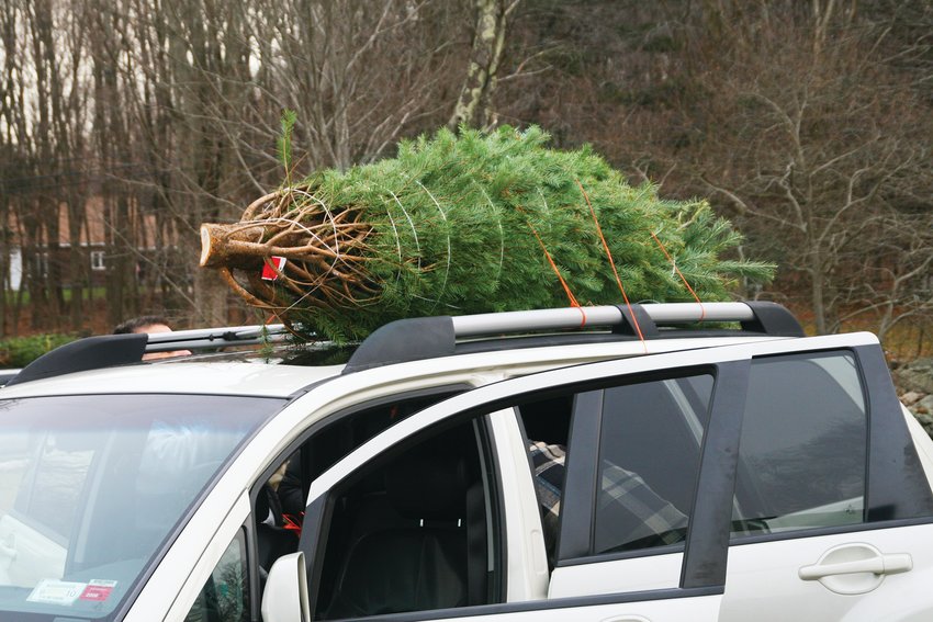 Losing a Christmas tree on the drive home would no doubt put a damper on the holiday season &mdash; but more importantly a tree that comes loose from a vehicle could also cause a crash. Previous research from AAA found that road debris caused more than 200,000 crashes during a four-year period, resulting in approximately 39,000 injuries and 500 deaths.