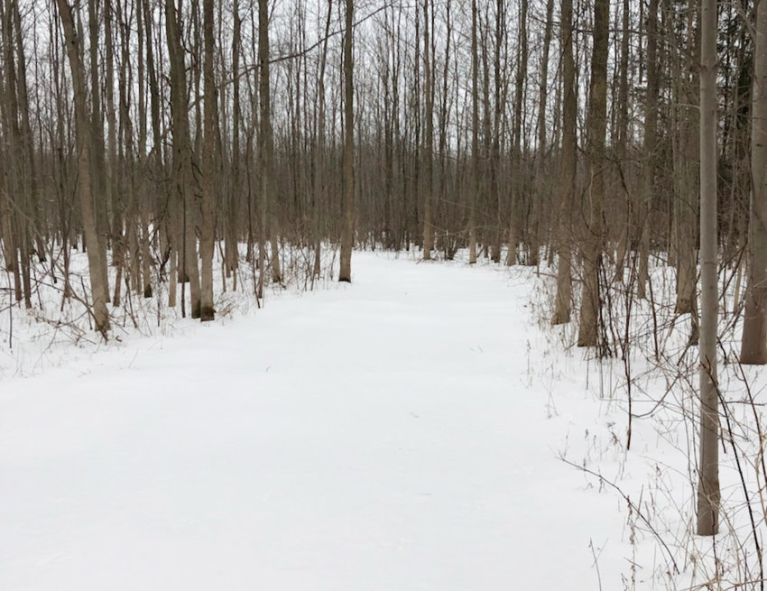 The Great Swamp Conservancy&rsquo;s First Day Hike will take place Sunday, Jan. 1 at 10 a.m. to ring in the New Year.
