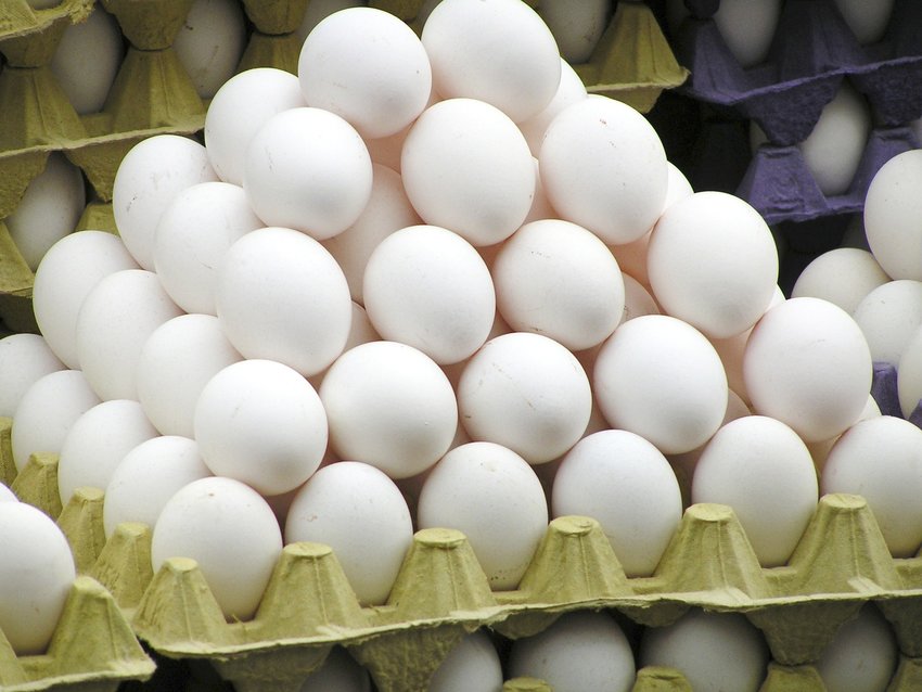 The price of eggs from large-scale producers has gone up drastically, but area experts say local eggs may be available at farm stands and other venues for less than grocery store prices.