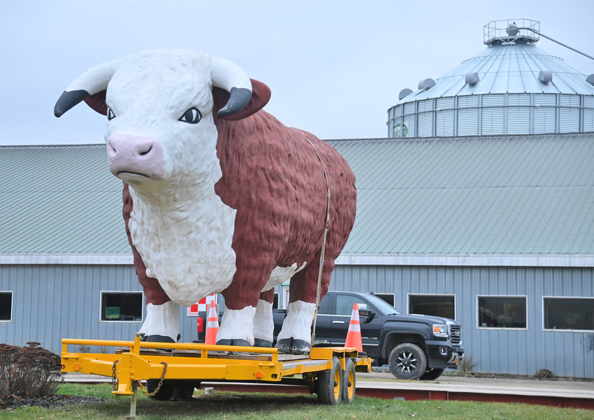 The former Joel&rsquo;s Steakhouse bull, &ldquo;Lucky,&rdquo; stands in front of Richardson Farms on Skinner Road in Vernon Center on Monday, Jan. 9. Seven years ago, on Sunday, Jan. 10, 2016, Lucky survived a fire that destroyed the Stampede Steakhouse and Saloon, which followed Joel&rsquo;s Steakhouse at the site at the corner of Route 365 and Route 31 in Verona.  Today, Lucky is mostly a homebody, on his flatbed perch on the farm, though Lucky has made a few appearances, fitting his iconic status over the past few years, most notably at the Boonville-Oneida County Fair in 2019.