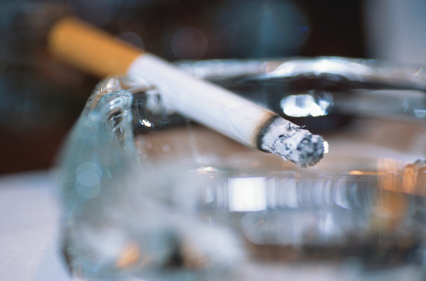 Smoking rates remain high among certain demographic groups; more work is needed to save New Yorkers&rsquo; lives and improve their health NYS TCP&rsquo;s policy-driven, cost-effective and evidence-based approaches contributed to a substantial decline in tobacco use.