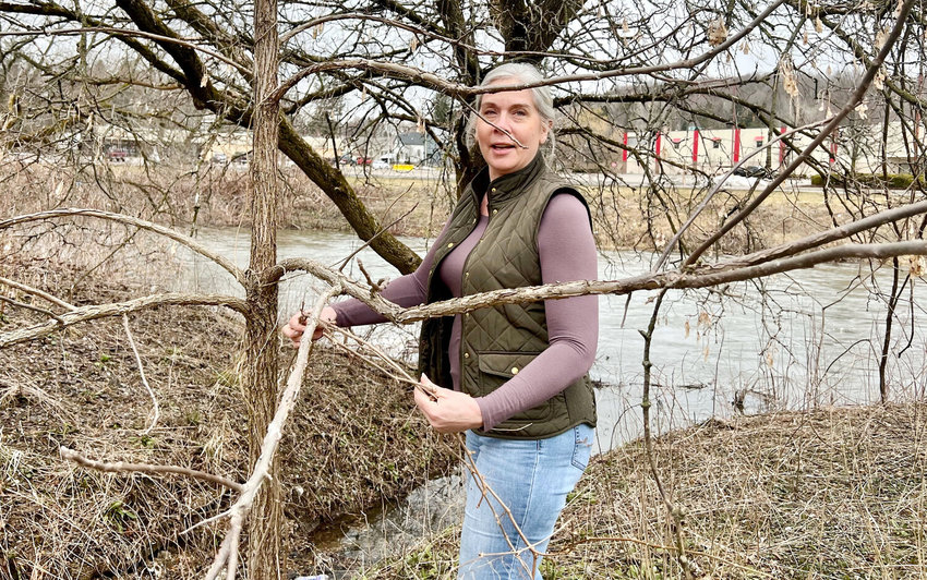 Amanda Barber, manager of the Cortland County Soil and Water Conservation District, suggests people who need to replace or replant trees look at native species, diversify what they plant, and do their research.