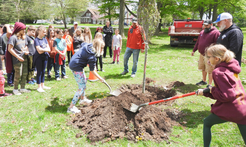 Emily Hudson, 10, left, and Carmella Demarzio, 11, Seneca Street Elementary students from Karyn Wells and Liz Murphy's fifth grade class, help move to dirt to plant the new red maple at Allen Park in Oneida