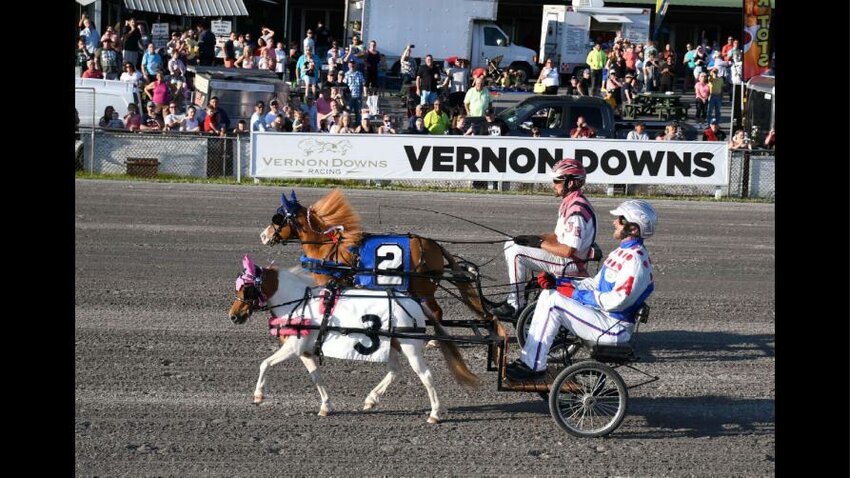 The annual mini-horse race will be held during the Memorial Day matinee on Monday at Vernon Downs. The matinee starts at 12:15.