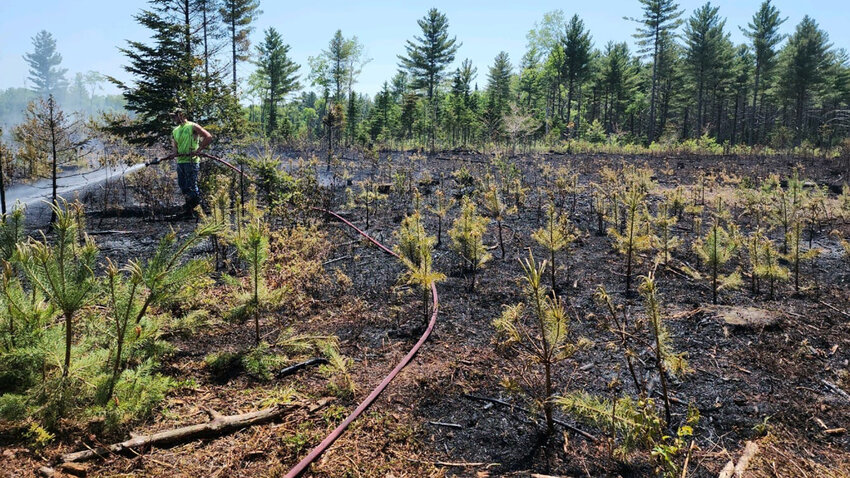 More than eight acres of brush and trees burned off O'Brien Road in Forestport between Sunday and Monday, according to fire officials. The dry weather helped spread the flames.