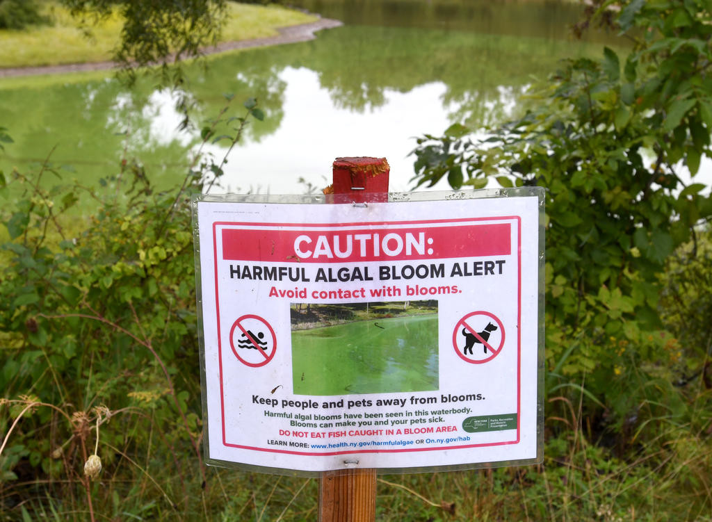LOOK OUT FOR BLOOMS — A sign posted at Turtle Pond at Delta Lake State Park urges caution in conjunction with a report of likely harmful algae (or algal) blooms on the pond.
 (Sentinel photo by John Clifford)