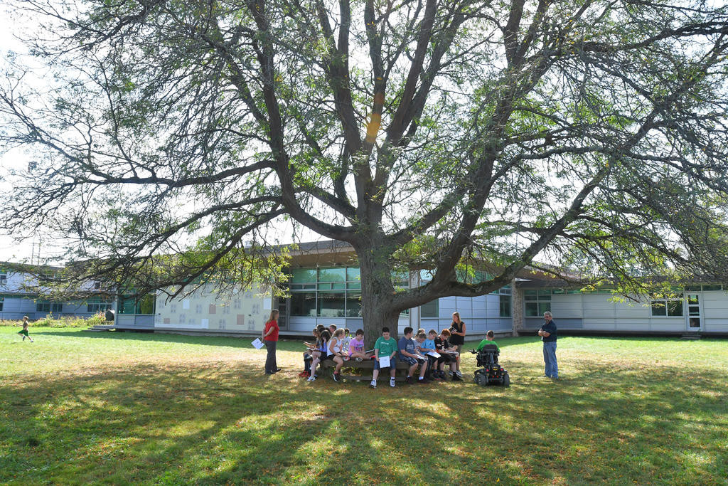 Staley school’s central courtyard sees rebirth, new uses | Daily Sentinel