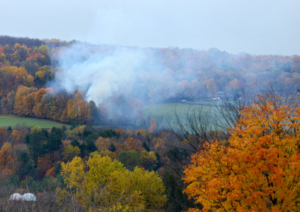 SMOKE FOR MILES — Multiple people called 9-1-1 Friday morning when they saw this smoke rising above the trees near Wynn and Korber roads in Trenton.
 (Sentinel photo by John Clifford)