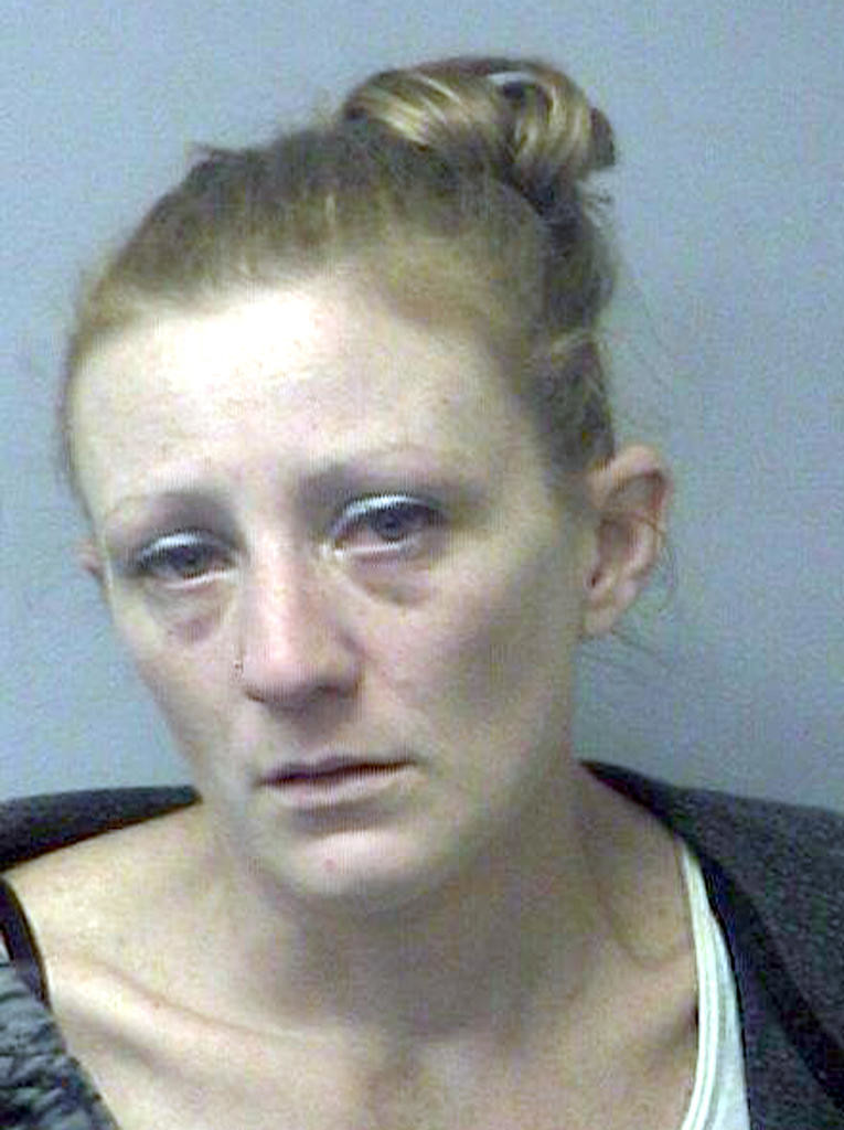 Woman Charged With Welfare Fraud Grand Larceny Daily Sentinel