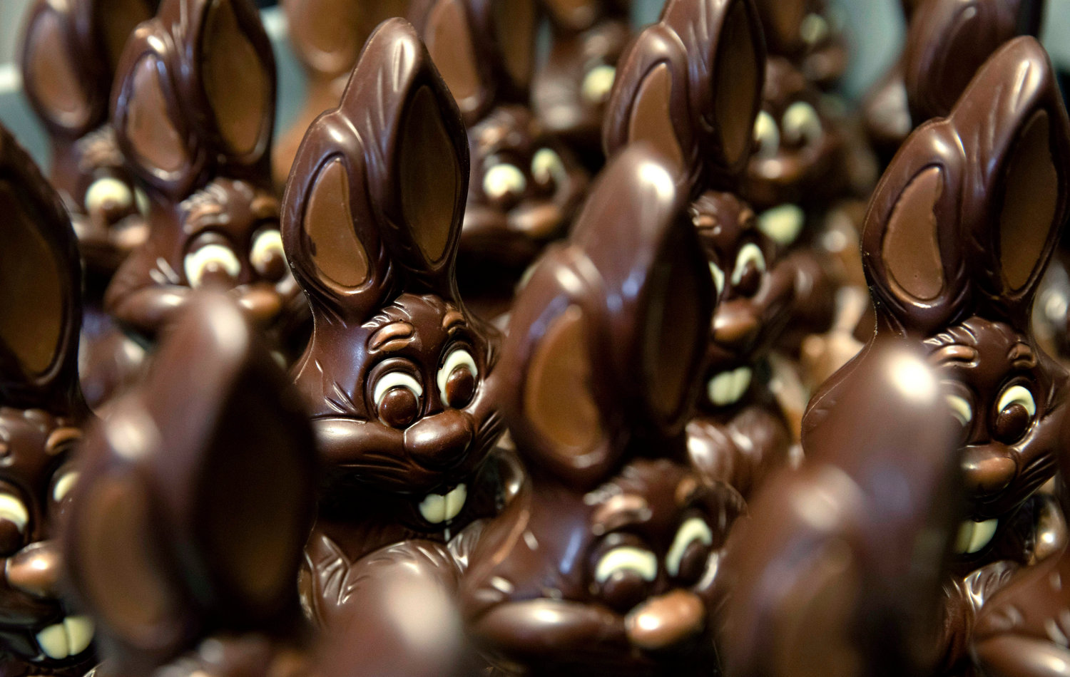 HOLIDAY TREAT —Chocolate rabbits wait to be decorated at the Cocoatree chocolate shop in Lonzee, Belgium. As all non-essential shops in Belgium have been closed due to the outbreak of COVID-19, many chocolatiers have had to resort to online sales, home delivery or pickup on site.