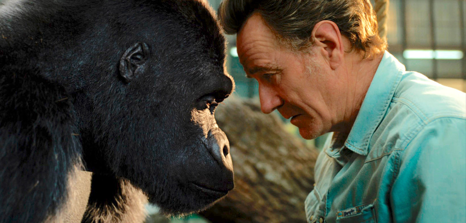 family friendly — Bryan Cranston, right, with a gorilla named Ivan, voiced by Sam Rockwell, in a scene from “The One and Only Ivan.”