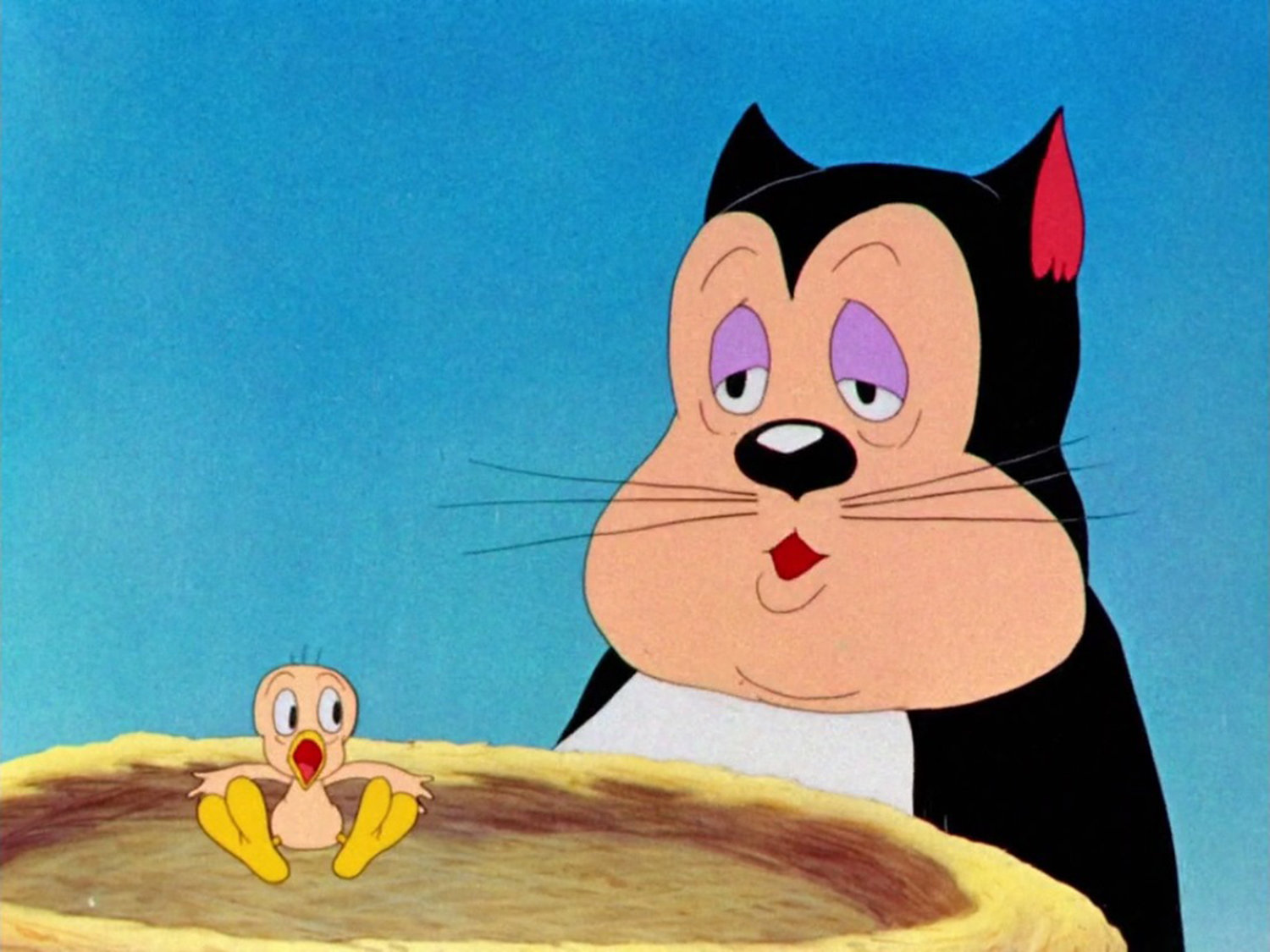 TWEETY BIRD'S START — A still image from "A Tale of Two Kitties," the first cartoon ever to include Tweety. At this point, his character did not yet have a name.