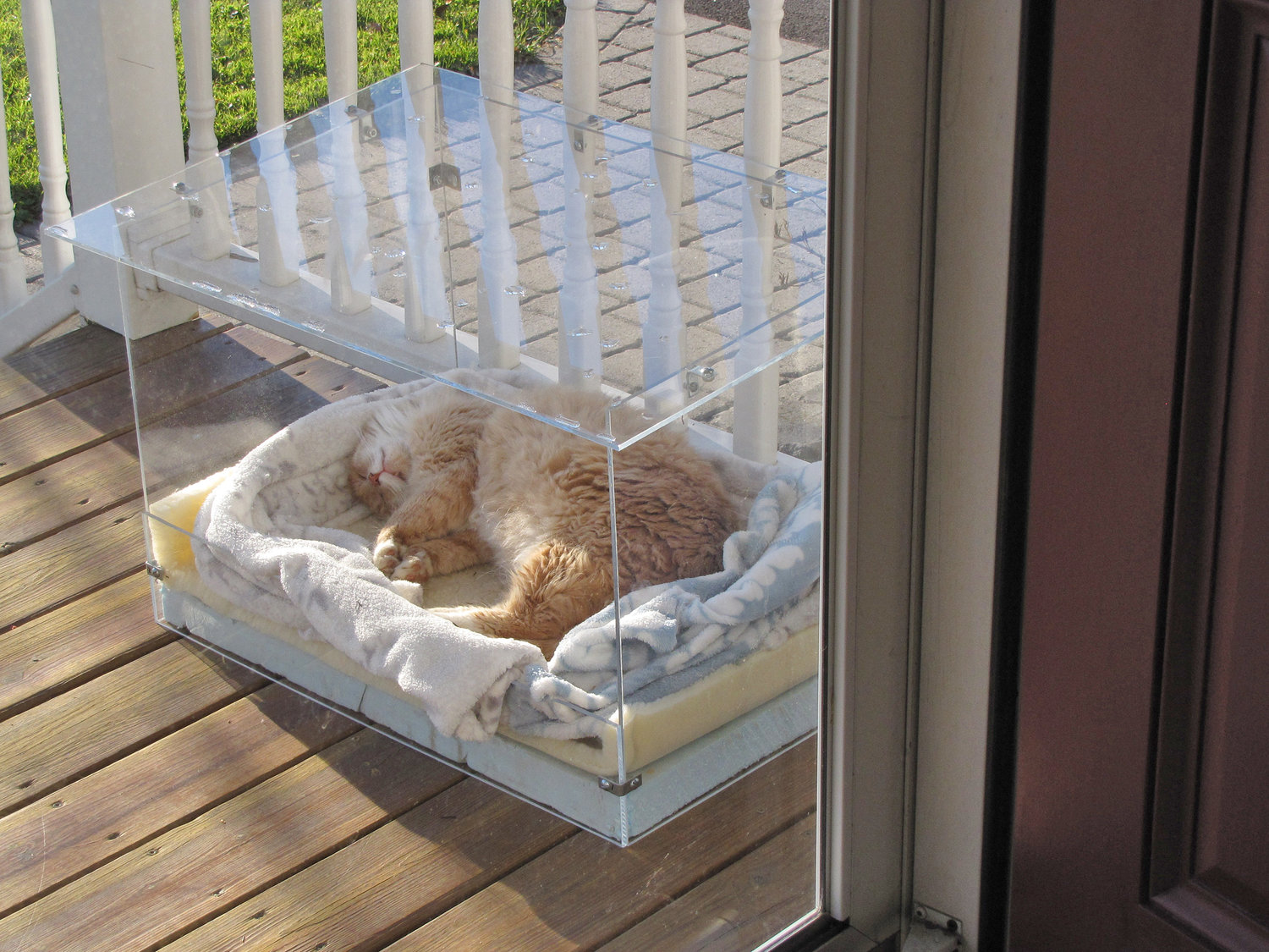 SAFE AND WARM — Cat lover Larry Ehlinger, of Laurel Street, built this Plexiglas enclosure, or “house,” so that his outdoor cat could stay warm and sheltered during the winter.  But the house has attracted some other visitors as well.  Here pet Buffy is resting comfortably. (Photos submitted)
