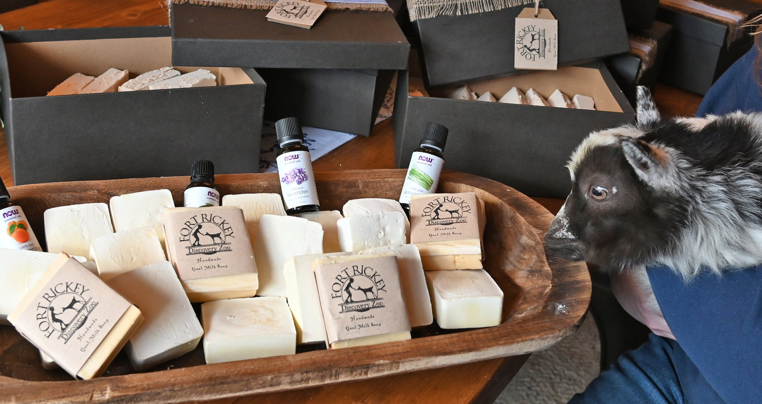 FORT RICKEY GOAT SOAP  — Meatball the baby goat looks over the soap made from goat milk with Rebecca Steadman, owner of Fort Rickey holding on. The popular animal discovery zoo has started its own line of goat milk soaps for sale to the general public.