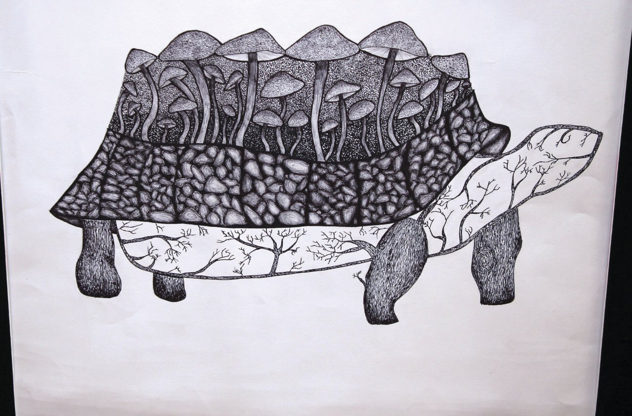 Levia Hernandez- Grade 11 "Earthy Impressions" Pen & Ink