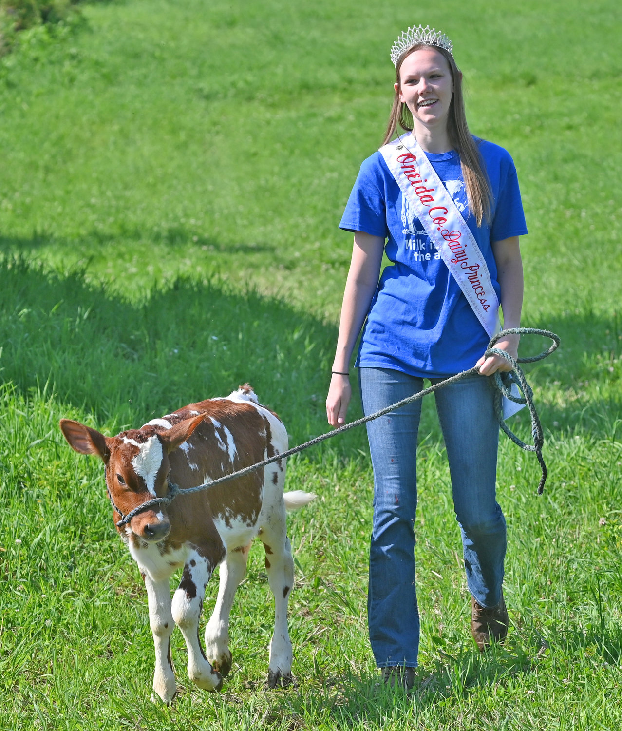 Oneida County Dailry Princess Shelby Carrigan with Melinda the Ayrshire calf.
