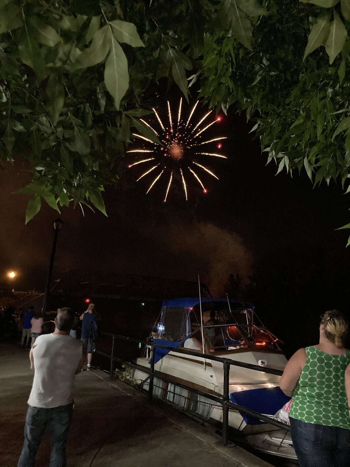 CANALFEST FINALE — Local residents view the fireworks display hosted by Rome Rotary Club during its annual CanalFest celebration. (Photo submitted)