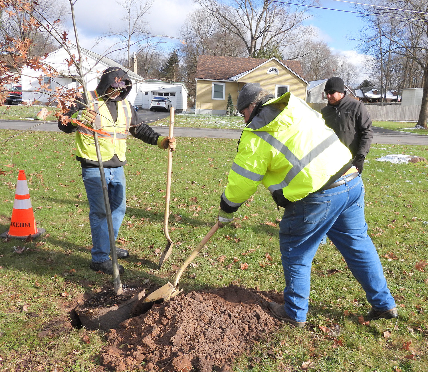 A NEW OAK — The Oneida City Department of Public Works plants a new oak tree in Lincoln Park on Tuesday, keeping their Tree City USA commitment and replacing trees that were plagued by emerald ash borers.
