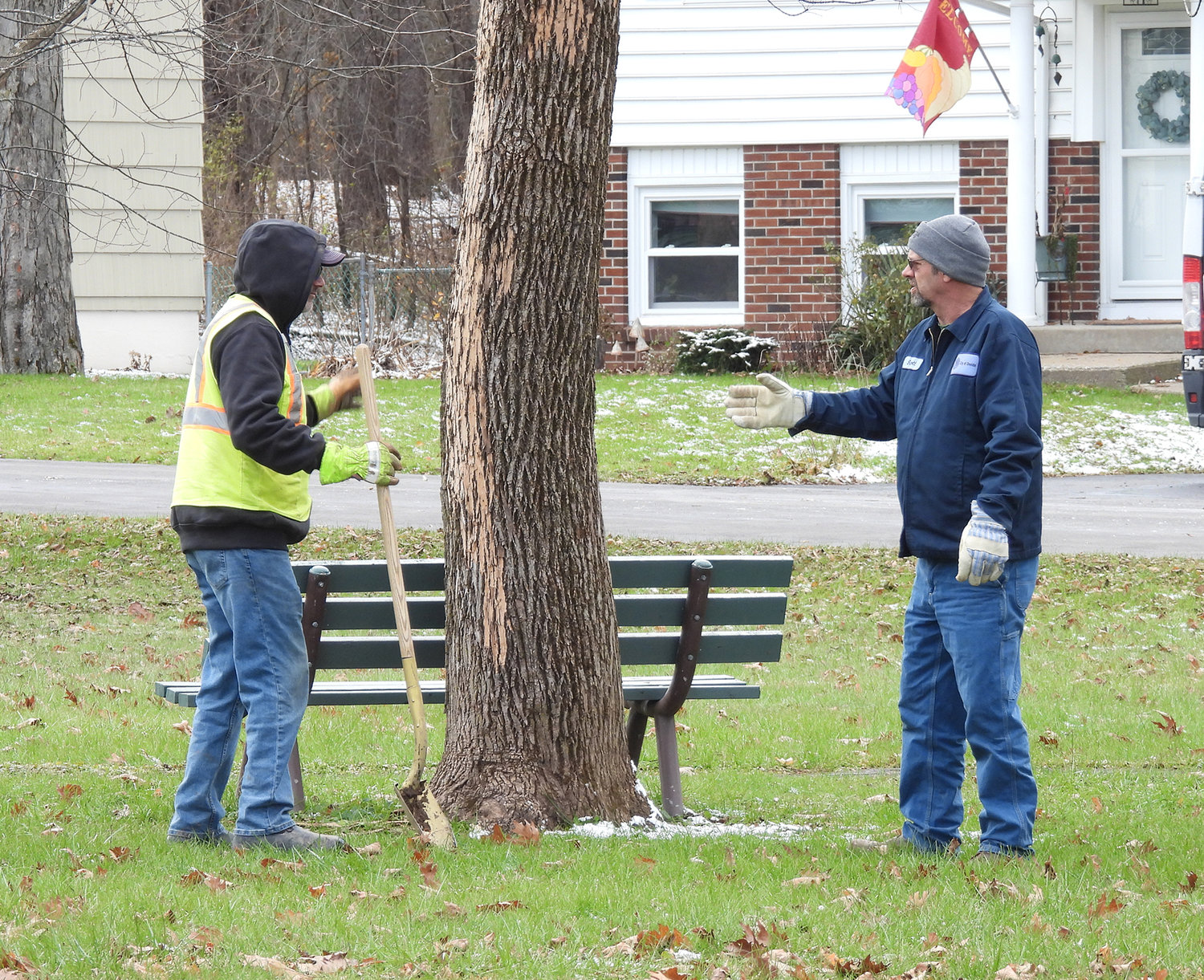 A DEAD TREE — Oneida City Department of Public Works employees look over a dead ash tree that’s been infested with emerald ash borers in Lincoln Park. This tree is the next to be taken down.