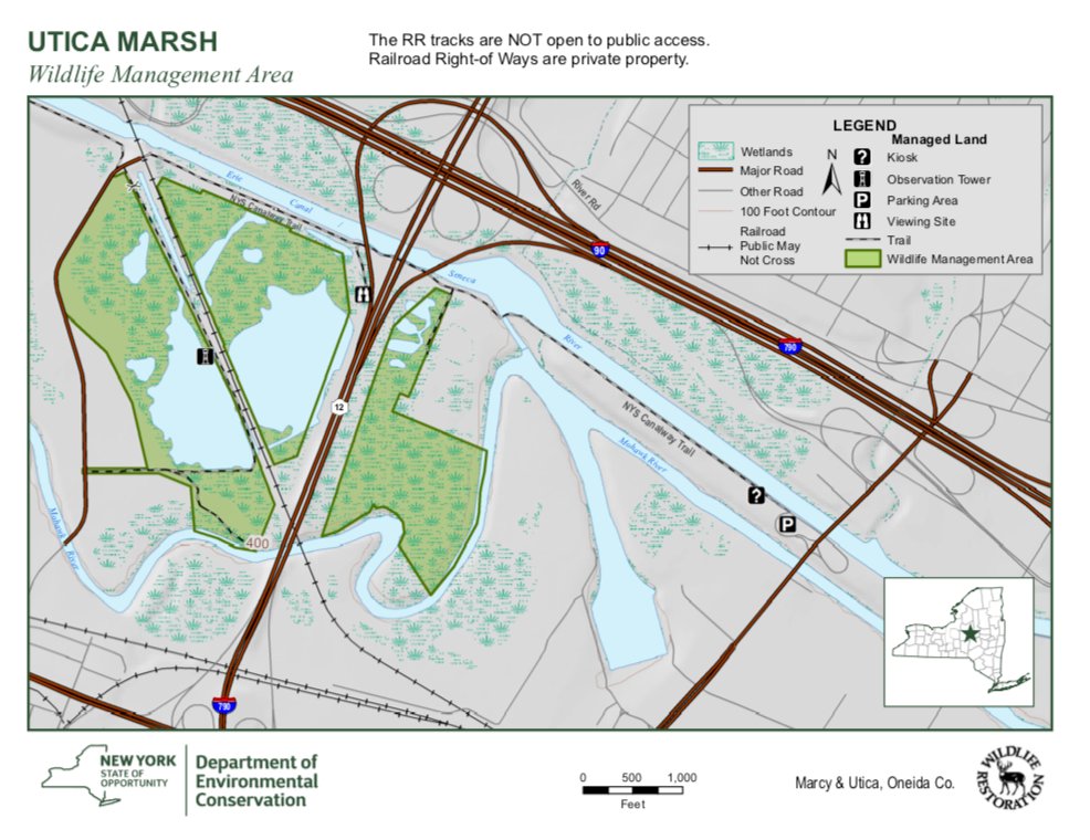 IN THE WORKS — The state Department of Environmental Conversation is seeking public comments on proposed plans for the Utica Marsh, which is bisected by the North/South Arterial (Routes 12/28/5). The draft plan “complements the existing Habitat Management Plan for Utica Marsh WMA and addresses management objectives for wildlife-dependent recreation, access features, and facility maintenance,” the DEC said.