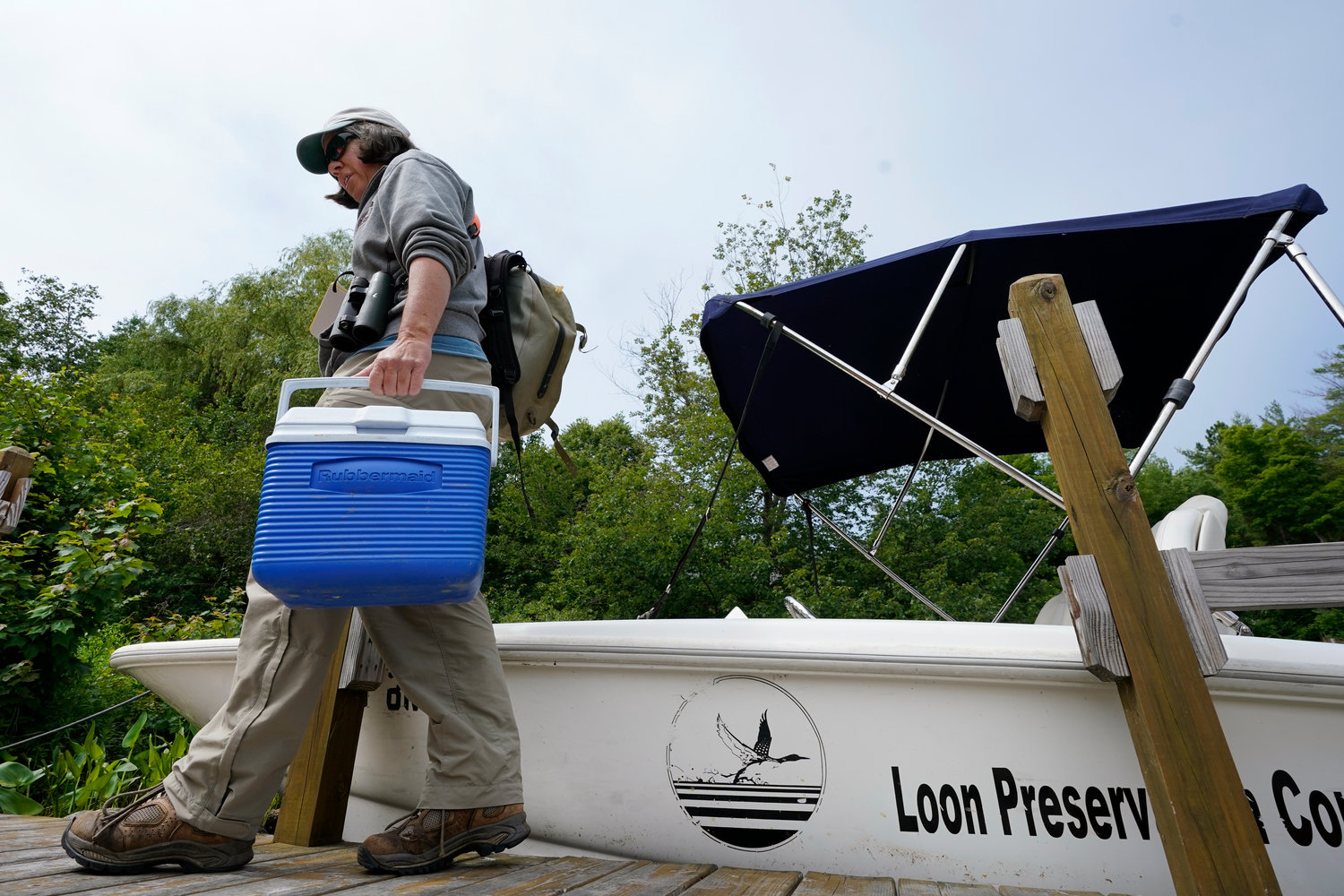 Biologist Tiffany Grade carries a cooler containing a non-viable loon egg collected from Squam Lake, Friday, June 25, 2021, in Holderness, N.H. Grade is studying the impact PCB's are having on loons, and will examine the egg for possible PCB contamination. Researchers in New Hampshire have long struggled to understand why loon numbers have stagnated on the lake, despite a robust effort to protect them. (AP Photo/Elise Amendola)