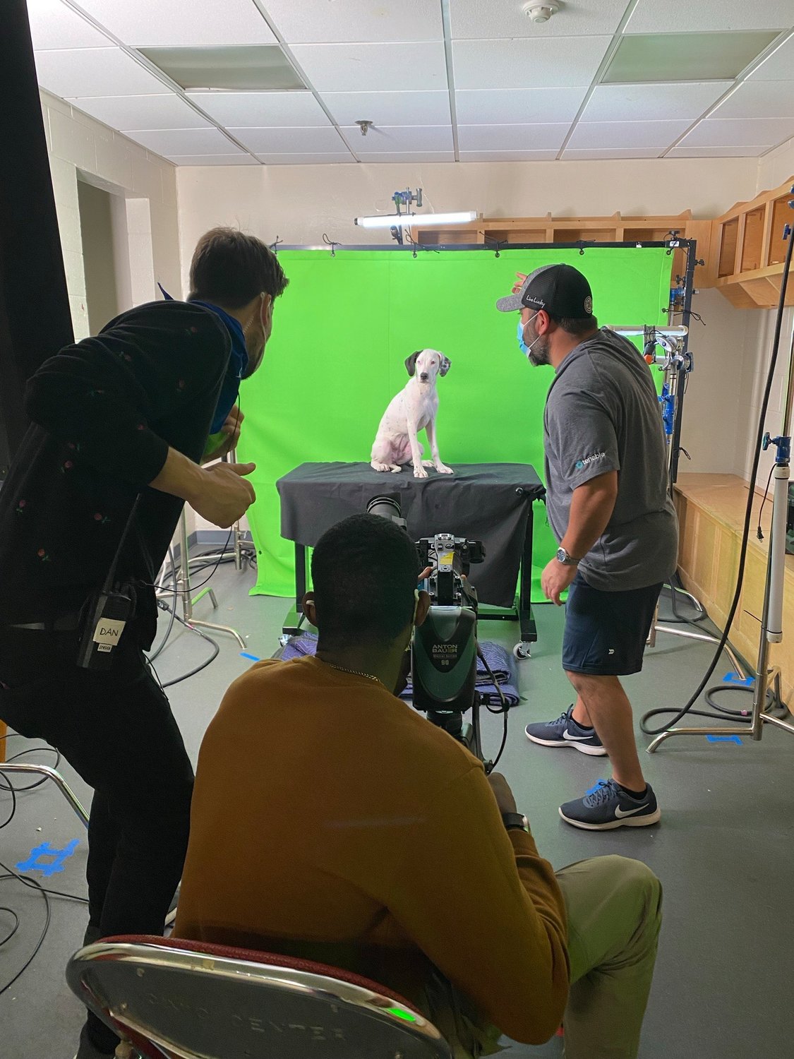 TEAM RUFF — A member of Team Ruff in the upcoming Puppy Bowl XVIII, Dazzle — shown here getting some star treatment on the set represents House of Paws Rescue in Utica.