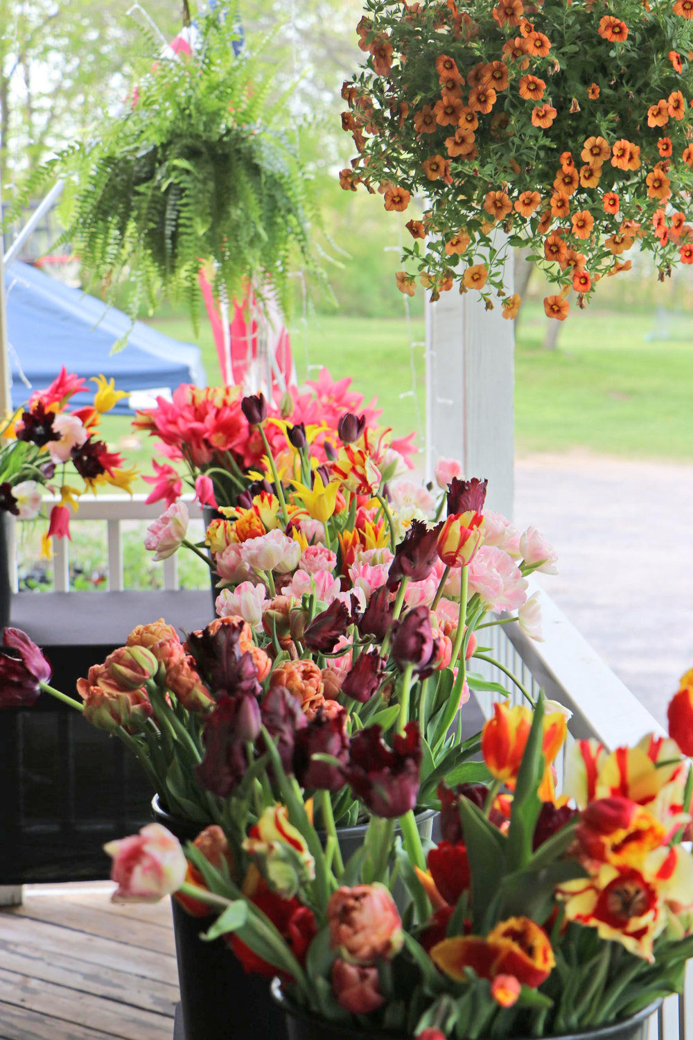 GIVE CUT FLOWERS — A bouquet of cut flowers, such as these shown above from the Flower Hill Farm in Boonville in this file photo, can make a great Valentine’s Day gift.