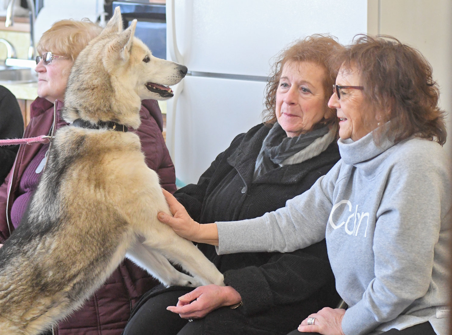 WELCOME TO THE PACK — Raspberry, a sled dog, excitedly greets Annette Sanders and Cindy Flanders during a presentation on sled dogs at the Western Town Library on Wednesday. With several inches of fresh snow on the ground this morning, Raspberry and her canine pals may be itching to hit the trail.