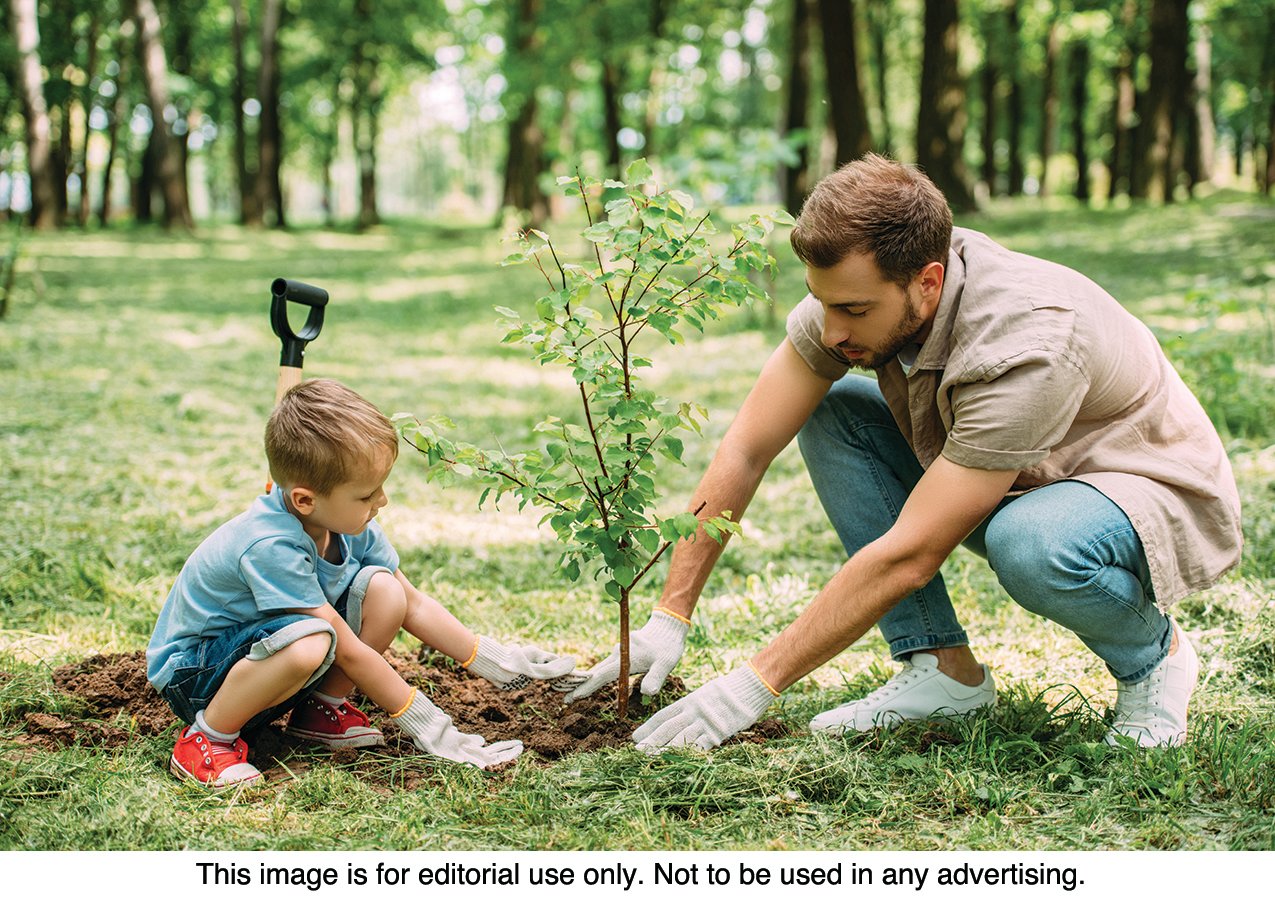 EARTH DAY — Planting a tree is an easy Earth Day activity for your family.