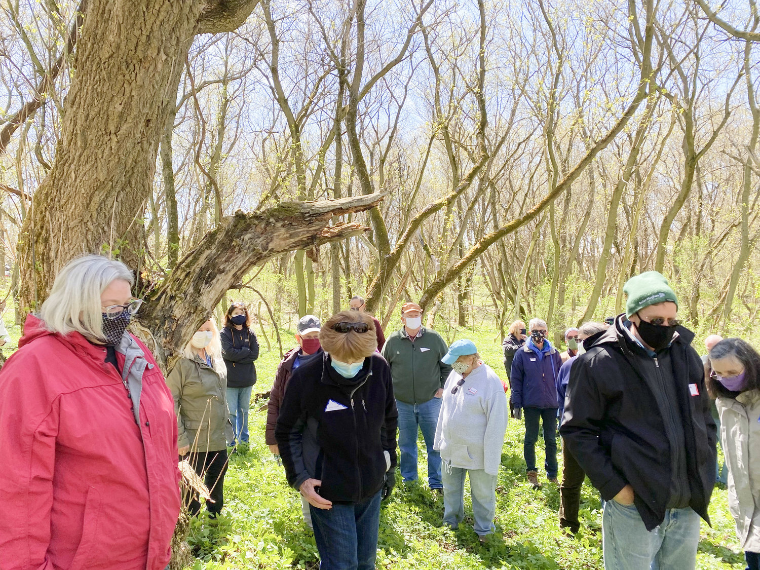 SPRING WALK — Visitors walk through the Gerrit Smith Estate during the 2021 guided spring walk. The 2022 guided spring walk will take place on Saturday, April 23 at 3 p.m. For more information, visit www.gerritsmith.org or call 315-374-9605