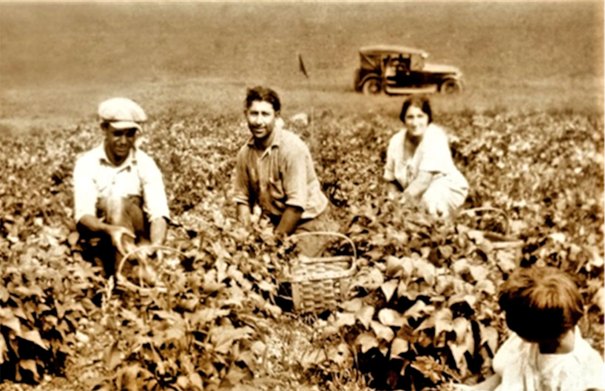 BUILDING NEW LIVES — Local author Karen Foresti Hempson will discuss her book, “Bean Pickers, American Immigrant Portraits” at Rome Historical Society, 200 Church St., at 5:30 p.m. Wednesday, April 20.