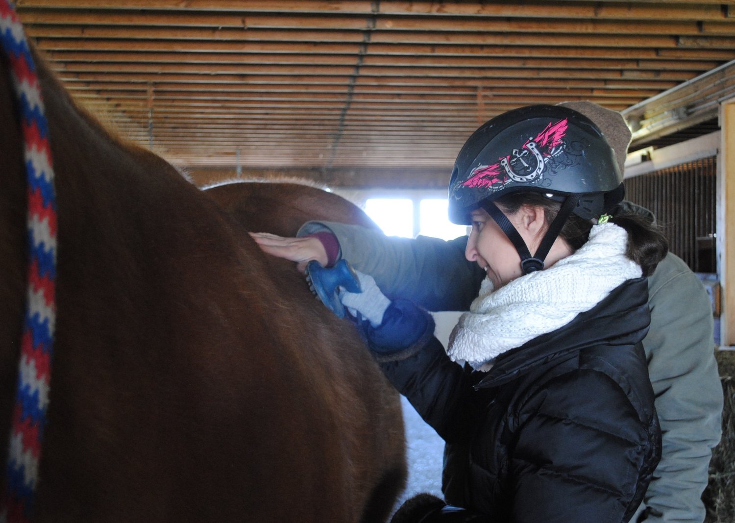 Paige Larioni brushes a horse at Arse at the Farm.