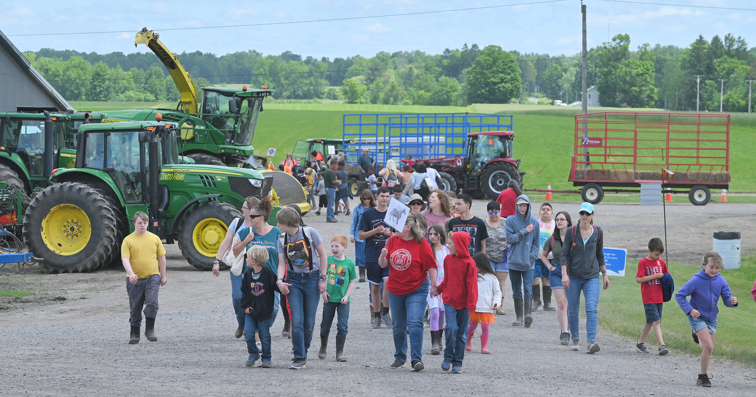 Groups of elementary school children attend Farm Fest at DiNitto Farms Friday.