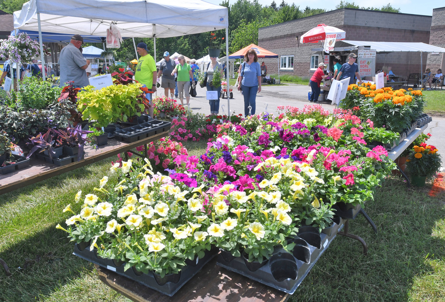 Flowers for sale at a previous Herb & Flower Festival at Cornell Cooperative Extension.