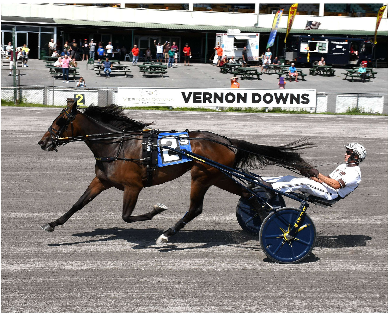 Joviality S will be one of the top competitors in Empire Breeders Classic for 3-year-old trotters at Vernon Downs Friday afternoon.