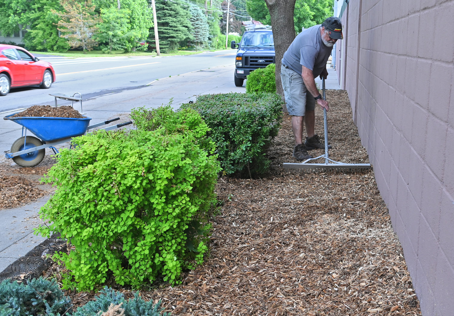 Michael Scuderi racks newly installed wood chips in a garden bed in front of RFA Stadium Friday June 17 in preparation for next weeks graduation ceremony.