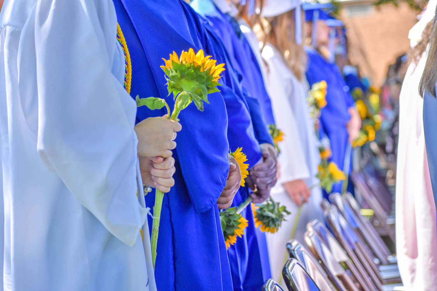 The Oneida Class of 2022 each carried a sunflower as they entered the graduation ceremony.