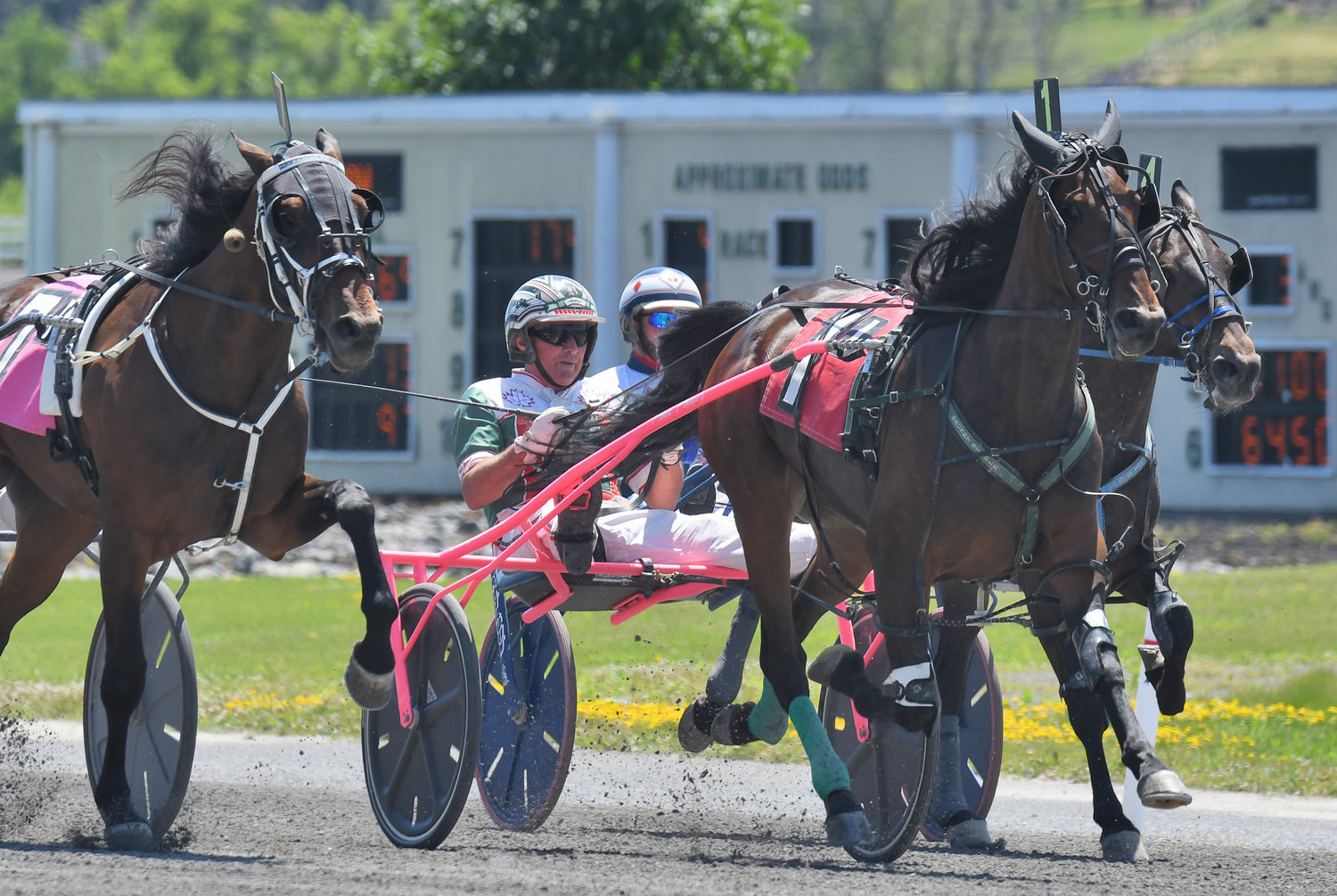 In the first race on Monday afternoon at Vernon Downs, Fashion Princess (No. 1) with Gates Brunet driving won.