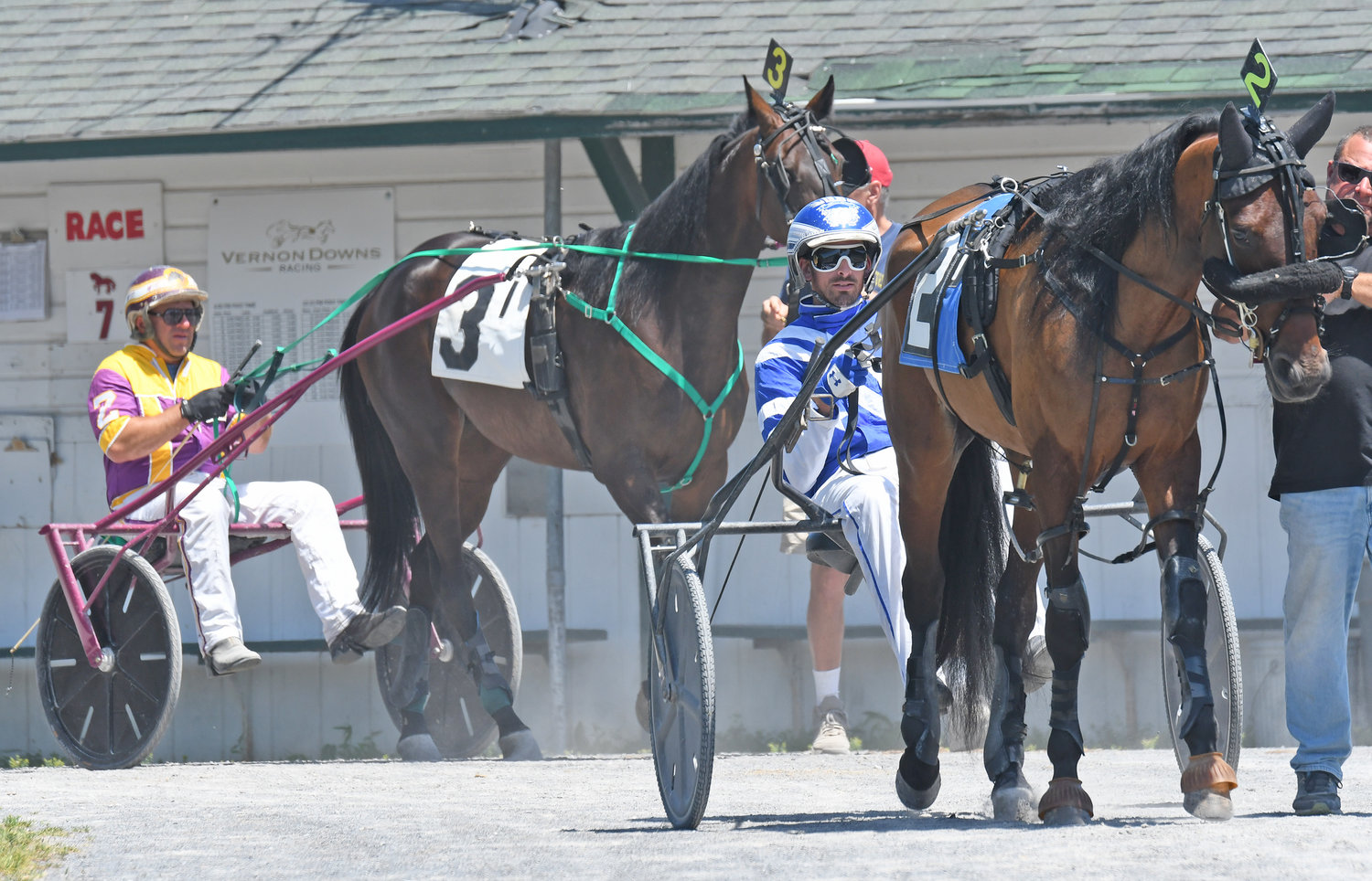 Horses in the first race at Vernon Downs walk out to the track on Monday afternoon. They are Stanley Zombick Jr. with No. 3 What A Fit and Steeven Genois No. 2 La Surprenante.