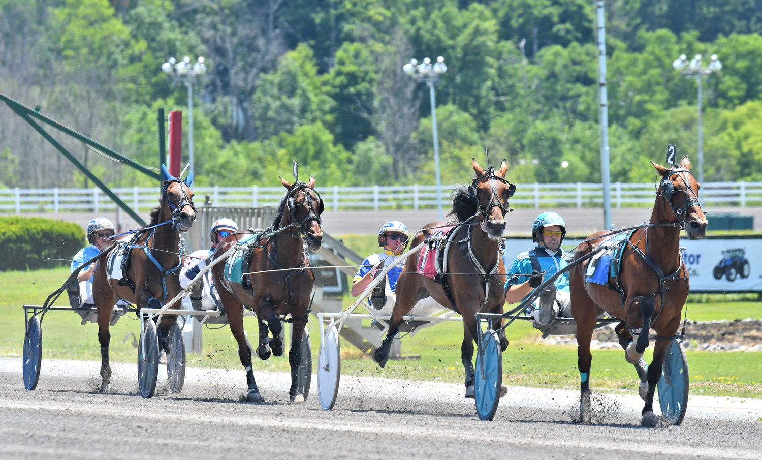 Start of the second race at Vernon Downs Monday afternoon.