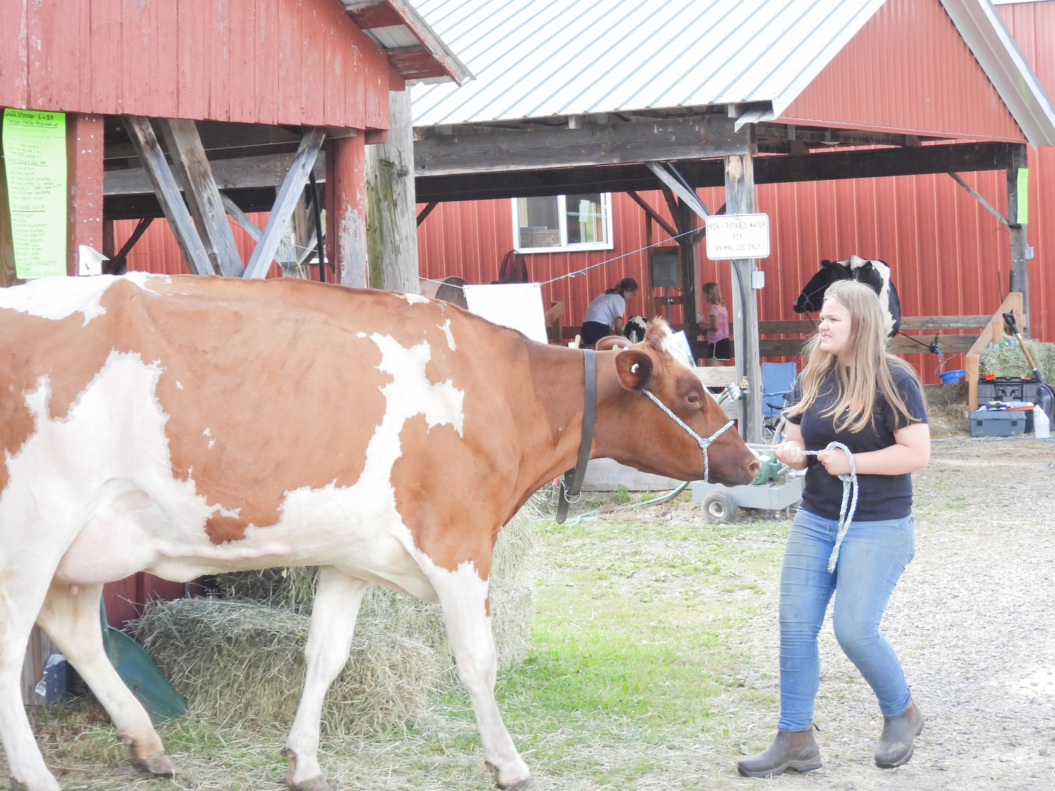 People are now attending the Madison County Fair, trying a number of rides, sampling foods, and seeing what's for sale by local vendors. The Madison County Fair runs until July 10.