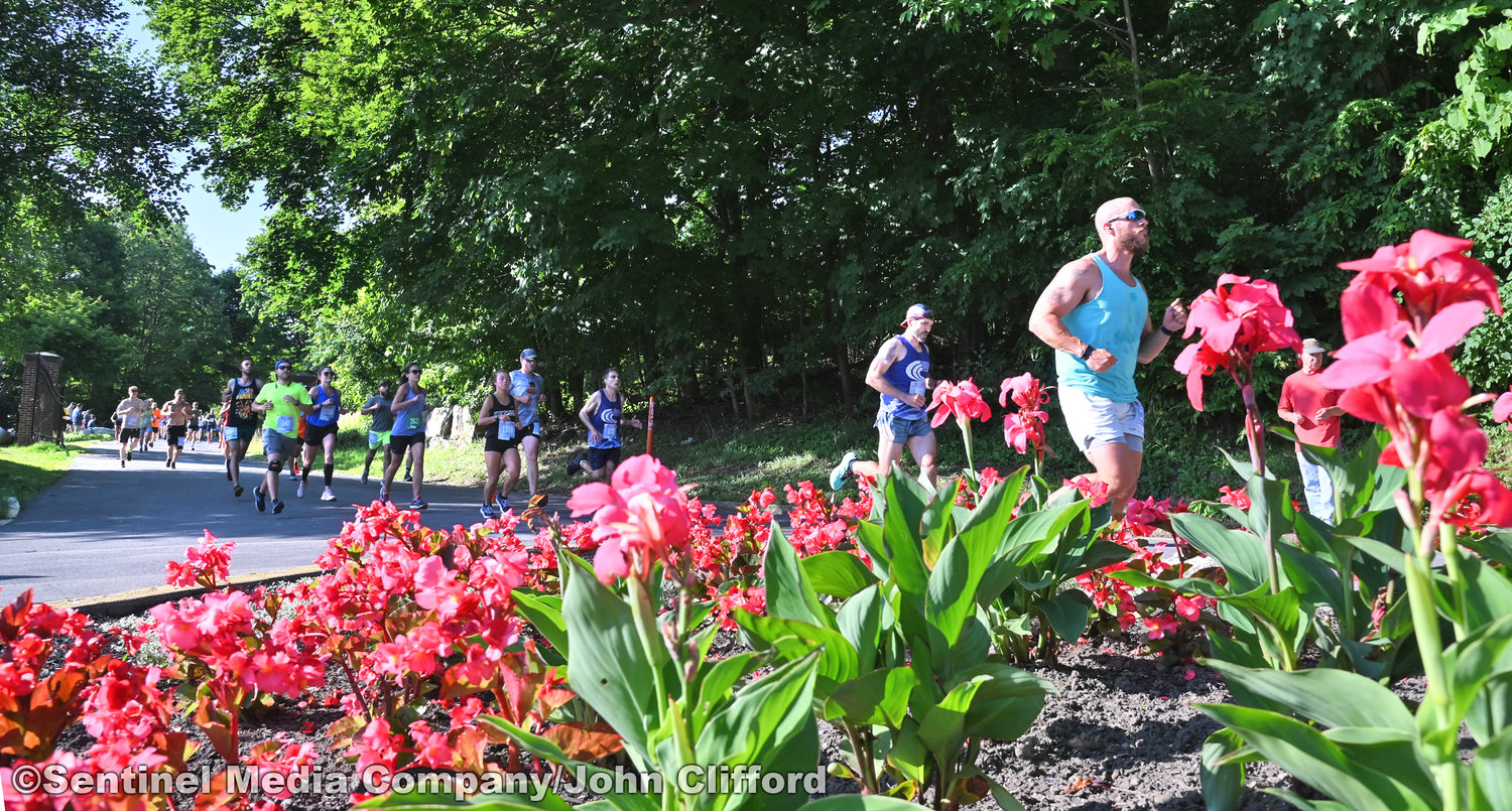 15k runners of the 45th Boilermaker Road Race make the run down Master Garden Road to Memorial Parkway.