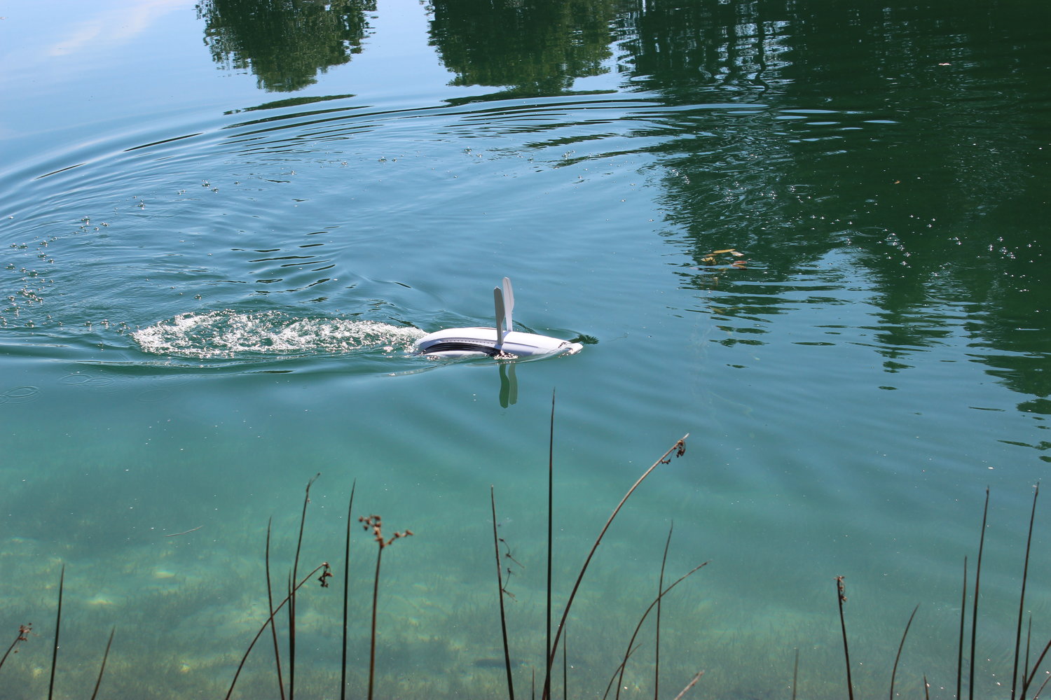 Students in a SUNY Morrisville study used a Power Dolphin surface drone, shown above, which yielded some of the best images during the aquatic drones and turtle study.