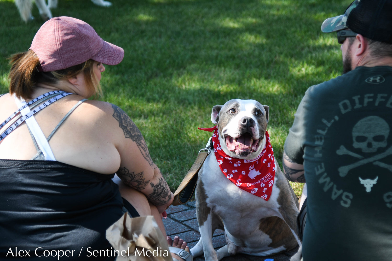 Dogs and their owners participate in a dog show hosted by the Herkimer County Humane Society on Saturday at Central Plaza in Ilion. The show was part of a long list of events hosted during Ilion Days 2022 from July 16-24.